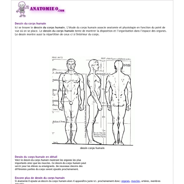 Le dessin du corps humain