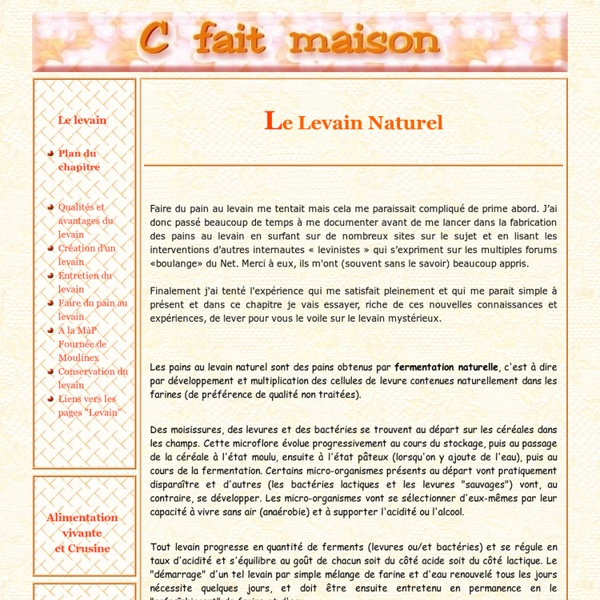 Le levain naturel - Introduction