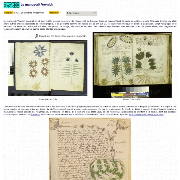 Le manuscrit Voynich