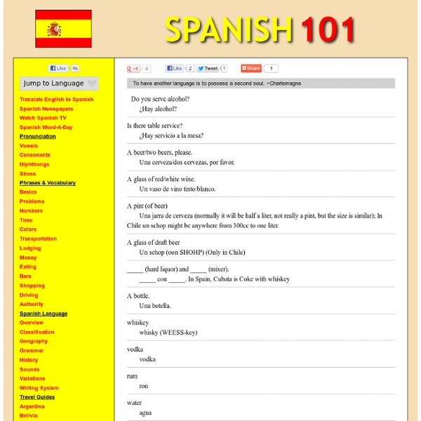 Learn Spanish & Phrases & Vocabulary & Bars
