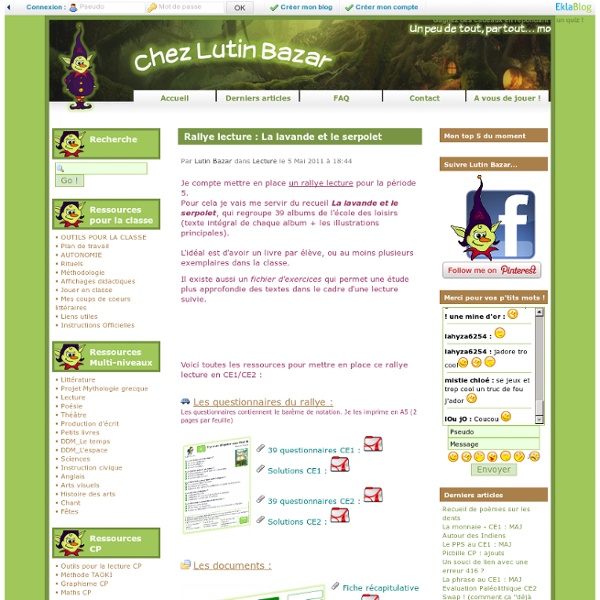 Lutin bazar (classe multiple)