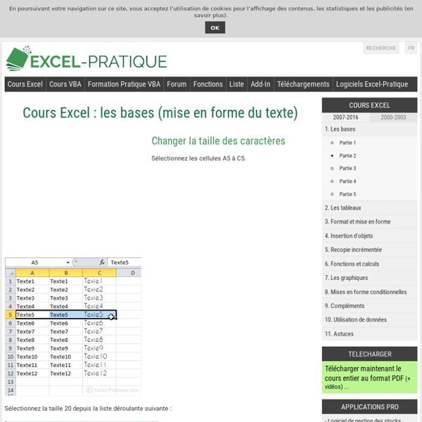 Cours Excel : les bases (mise en forme du texte)
