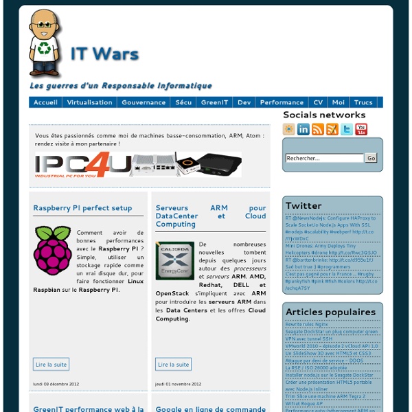 IT Wars - Les guerres d'un Responsable Informatique