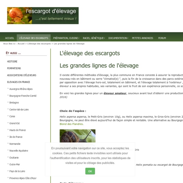 Les grandes lignes de l'élevage