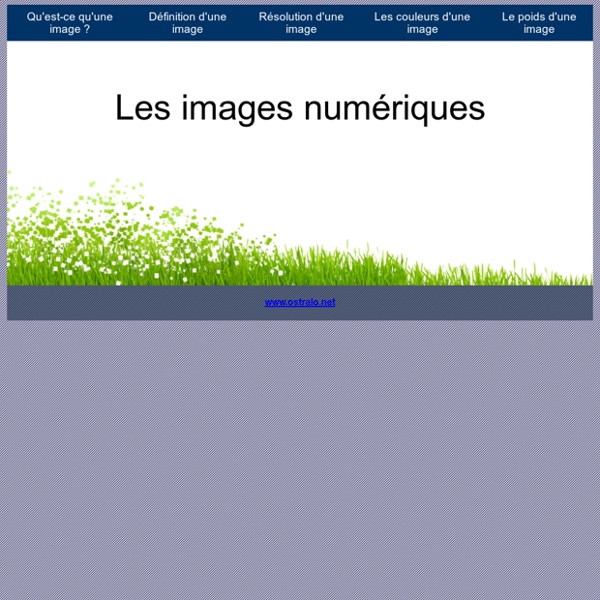 Les images numériques