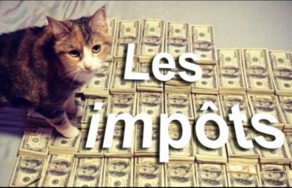 Les impôts