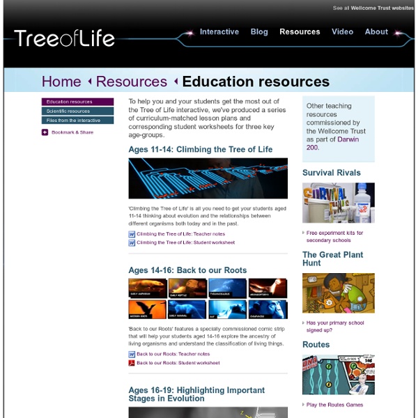 Tree of Life lesson plans and worksheets