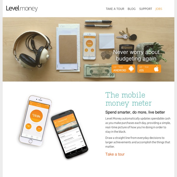 Level Money - The real-time money meter