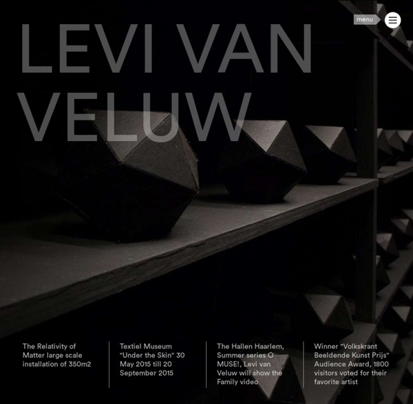 Levi van Veluw - Official website