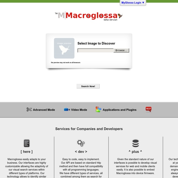 Macroglossa Visual Search Engine