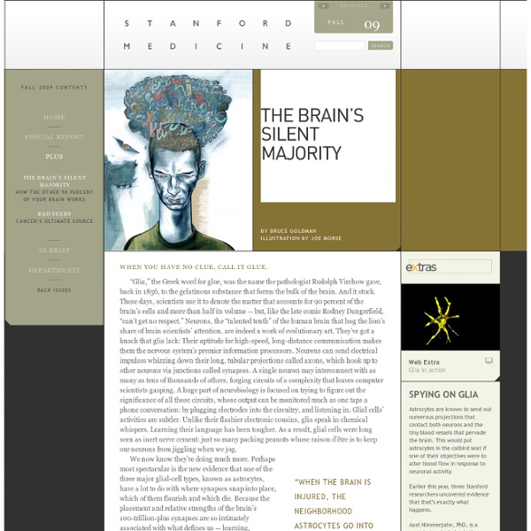 The brain’s silent majority - 2009 FALL