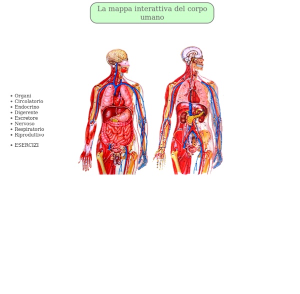 La mappa interattiva del corpo umano