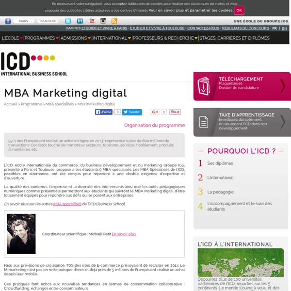 Master Marketing digital - ICD