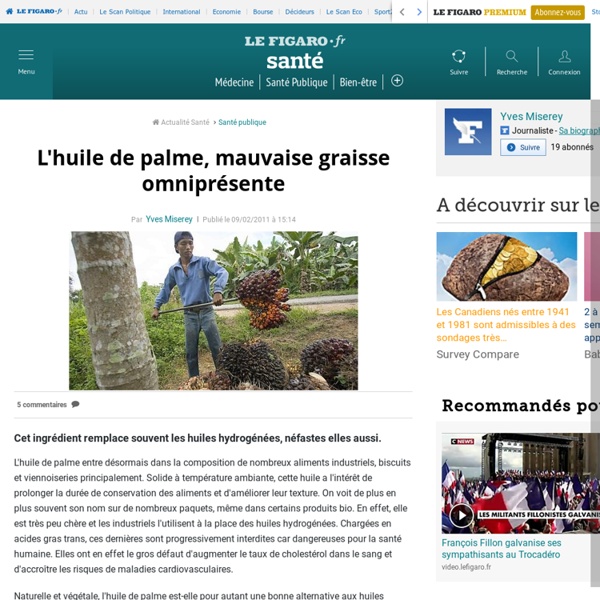 L'huile de palme, mauvaise graisse omniprésente