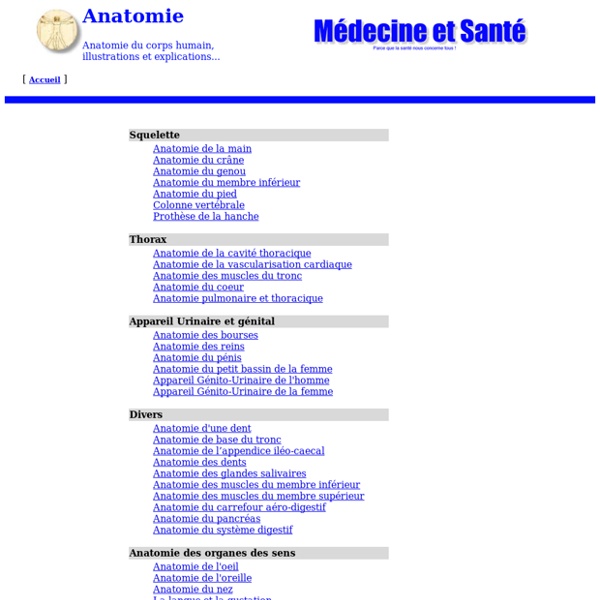 Médecine et santé - Anatomie du corps humain, organes, ossature, muscles