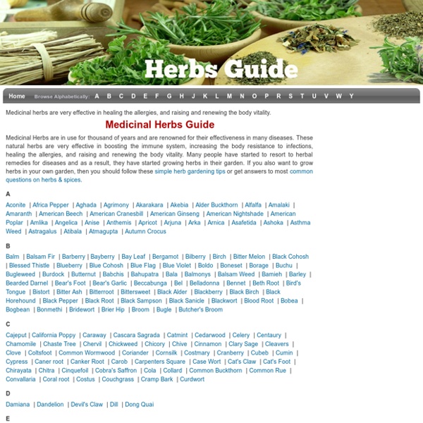 Healing Herbs Guide