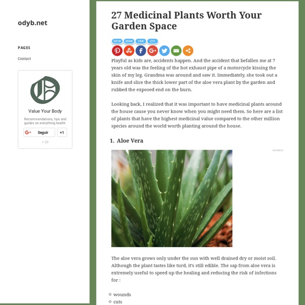 27 Medicinal Plants Worth Your Garden Space