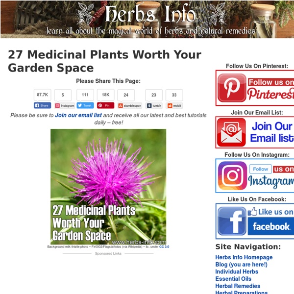 27 Medicinal Plants Worth Your Garden Space