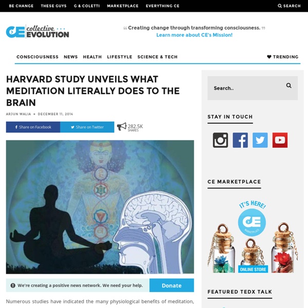 Harvard Study Unveils What Meditation Literally Does To The Brain