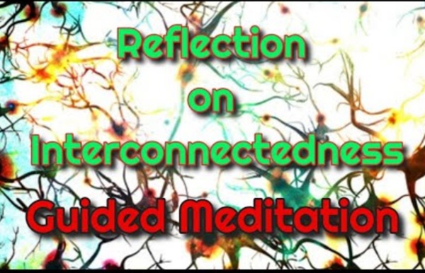 Guided Meditation Reflection on Interconnectedness □□□ - M & L The Mind & Soul
