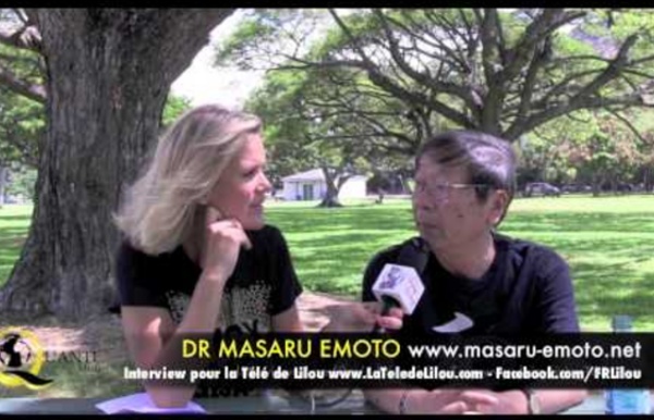 Dr Emoto : les mémoires de l'eau (version française)