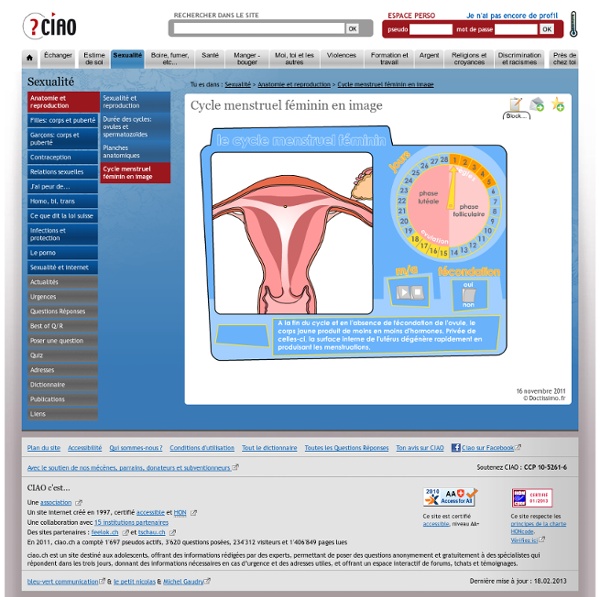 Cycle menstruel féminin en image - Anatomie et reproduction - Sexualité