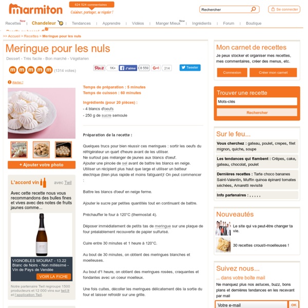 Meringue pour les nuls : Recette de Meringue pour les nuls