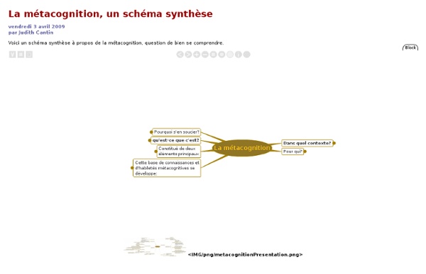 [MétaTIC] La métacognition, un schéma synthèse