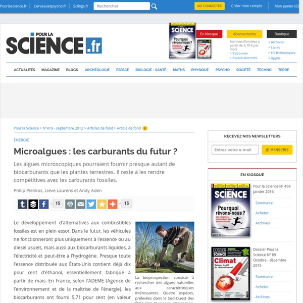 Microalgues : les carburants du futur ?