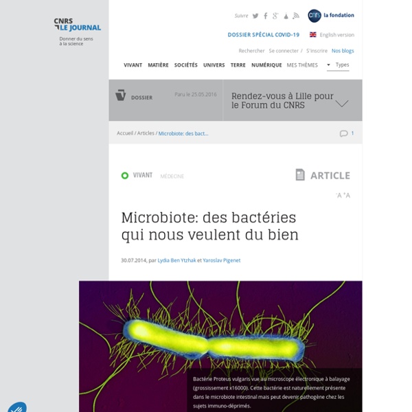 Microbiote: des bactéries qui nous veulent du bien