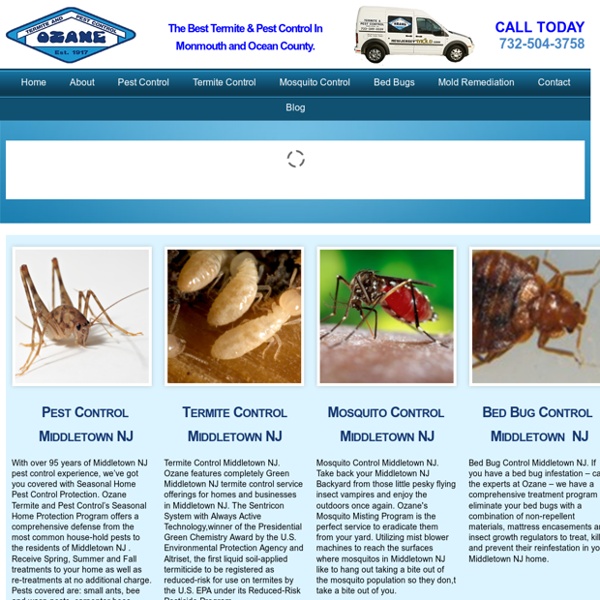 Middletown NJ Pest Control Termite Control Ozane.com