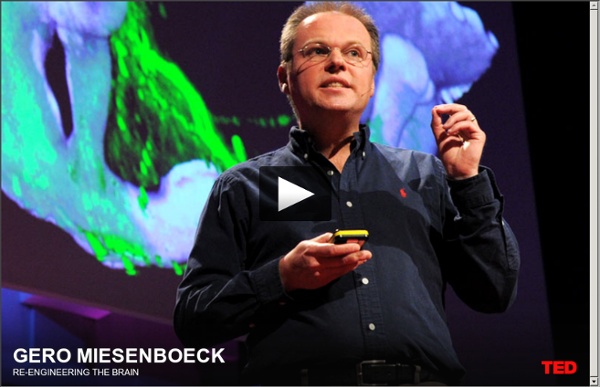 Gero Miesenboeck reengineers a brain