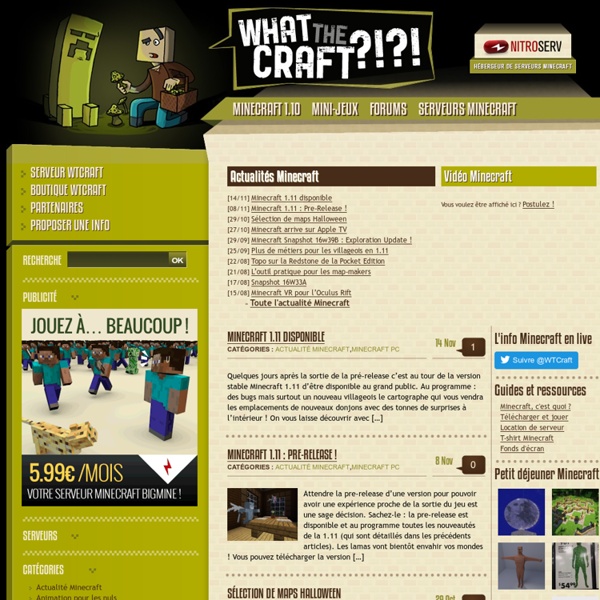 Minecraft pour les fans : WTCraft.com