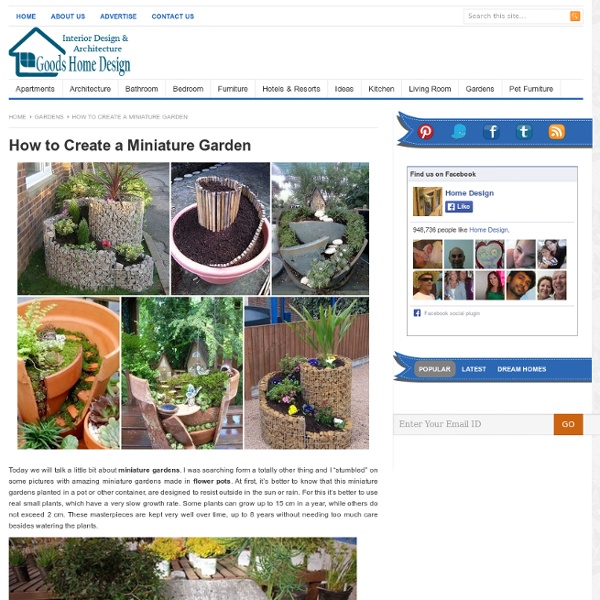 How to Create a Miniature Garden