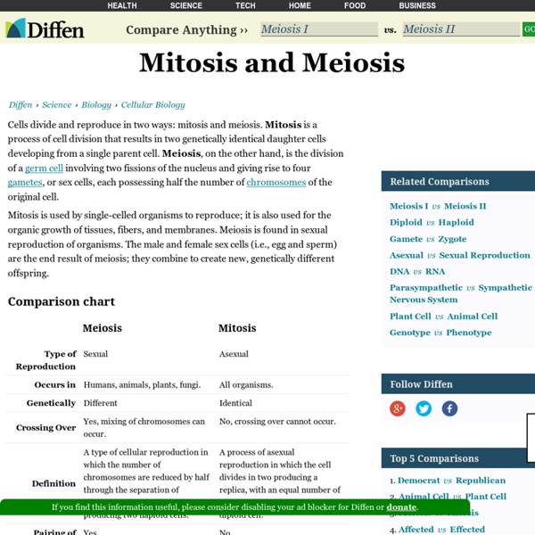 Meiosis vs Mitosis