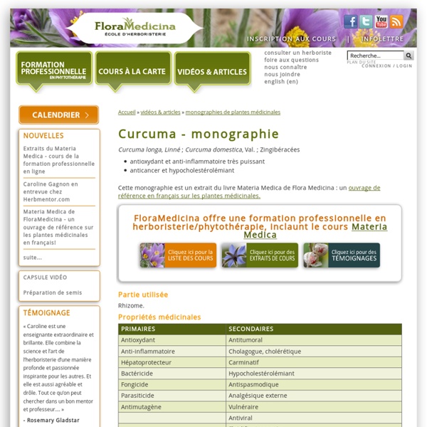 Curcuma - monographie