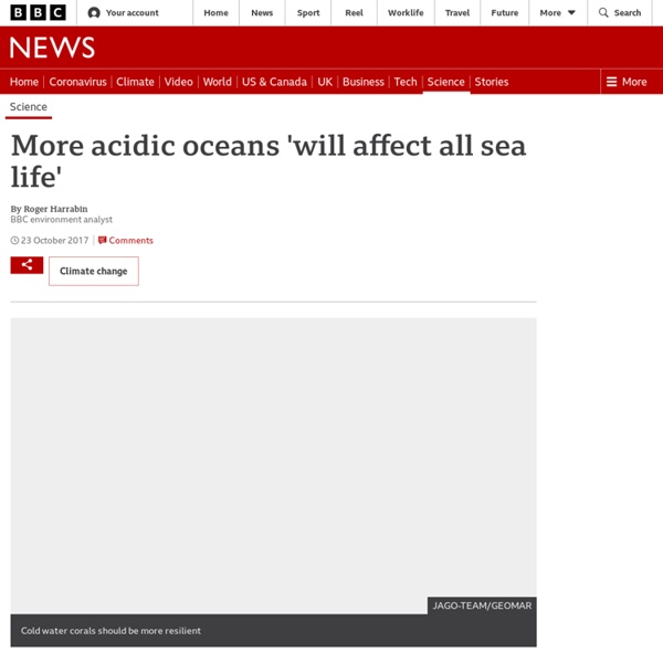 More acidic oceans 'will affect all sea life'
