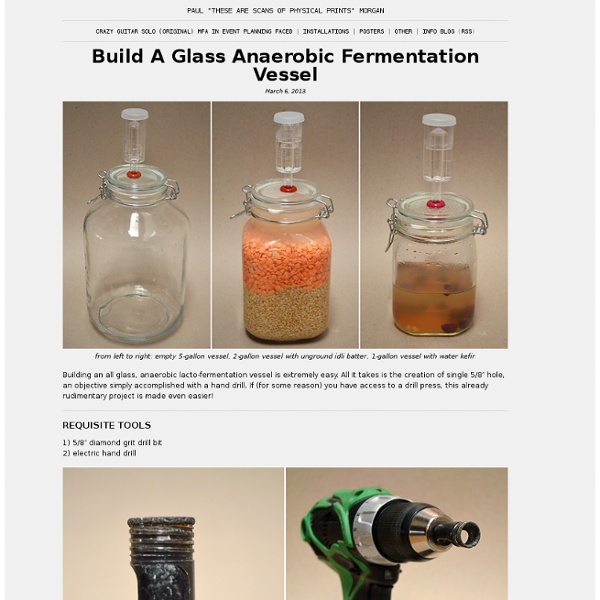 DIY Anaerobic Glass Fermentation Vessel