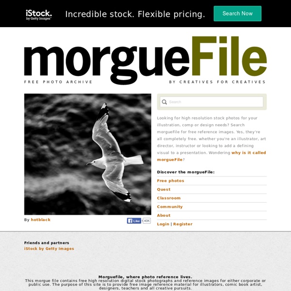 Morguefile.com free stock photos