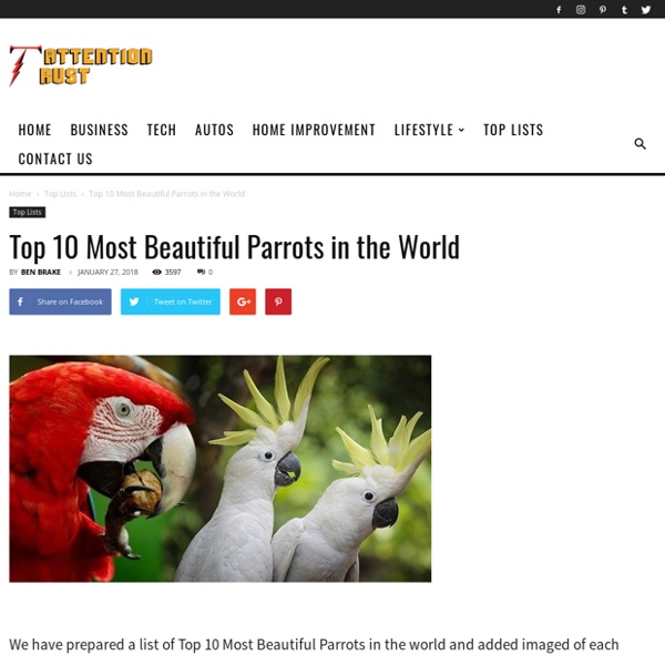 Top 10 Most Beautiful Parrots in the World