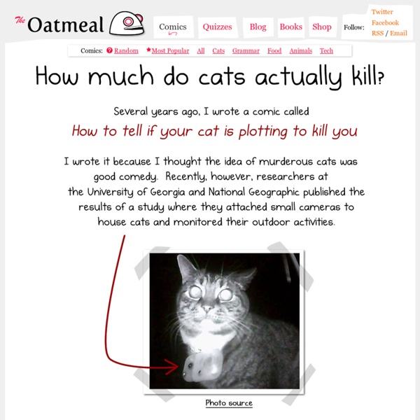 How much do cats actually kill? [Infographic]