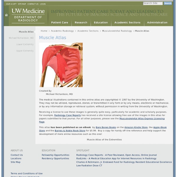 *Muscle Atlas — Musculoskeletal high quality images with oina info