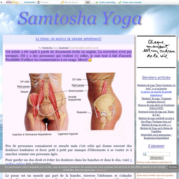 Le psoas: un muscle de grande importance! - Samtosha Yoga