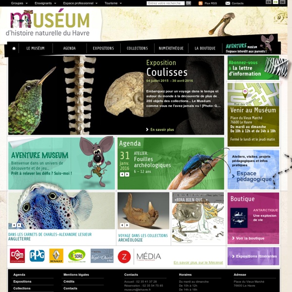 Muséum d'histoire naturelle du Havre