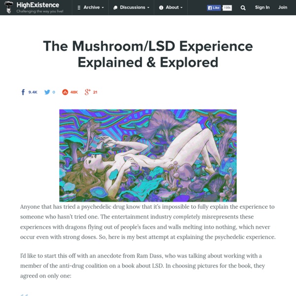 The Mushroom/LSD Experience Explained & Explored