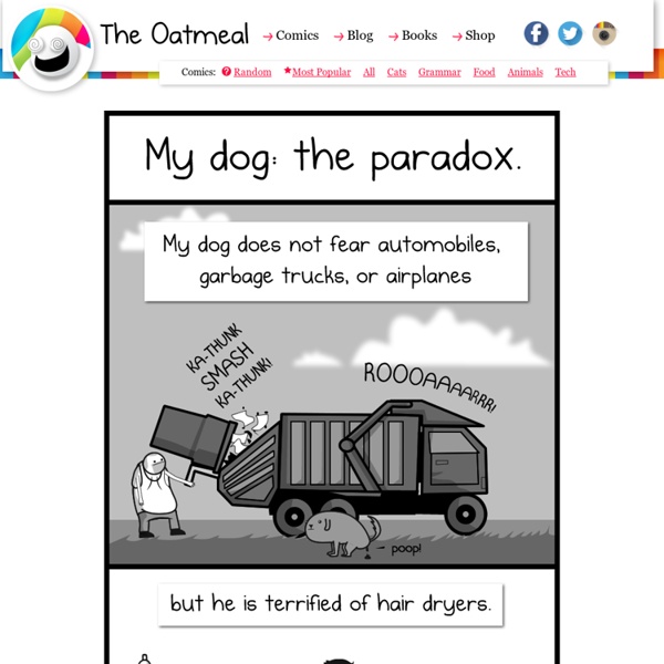 My dog: the paradox