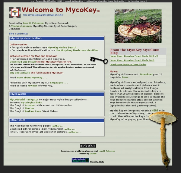 MycoKey home