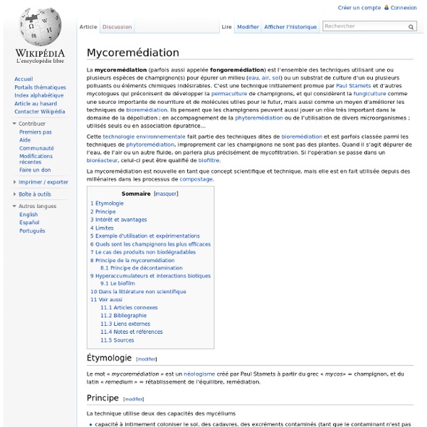 Mycoremédiation