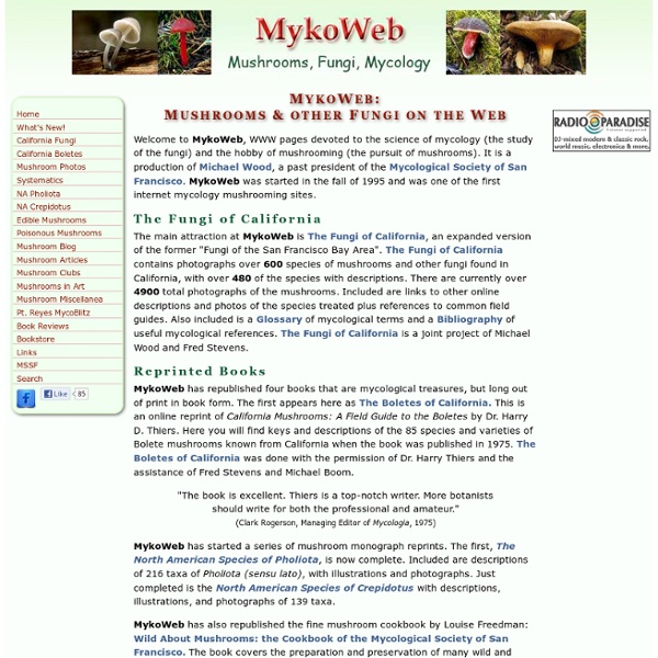 MykoWeb: Mushrooms, Fungi, Mycology