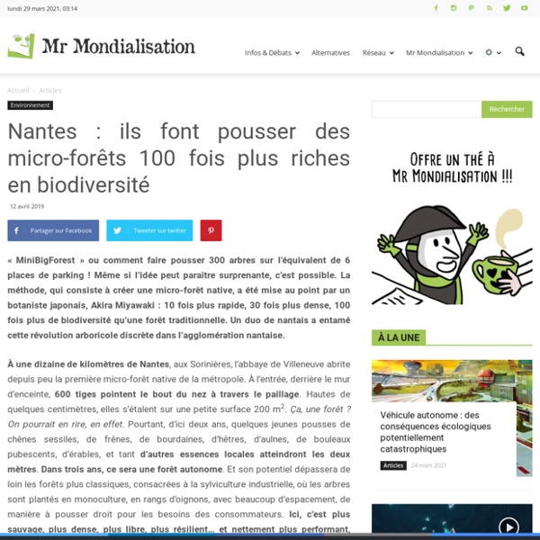 Nantes : ils font pousser des micro-forêts 100 fois plus riches en biodiversité